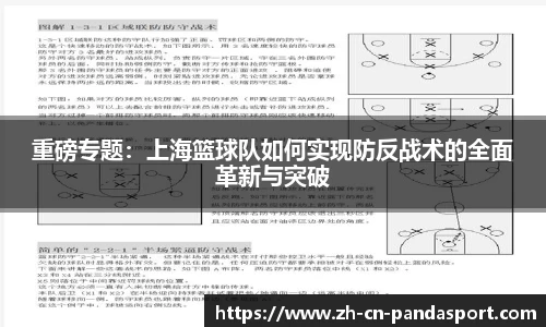 熊猫体育