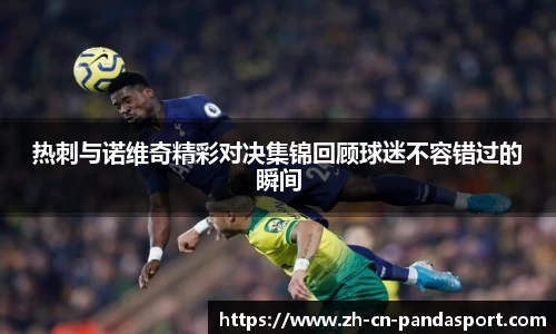 热刺与诺维奇精彩对决集锦回顾球迷不容错过的瞬间